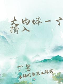 大肉蟒一寸一寸挤入