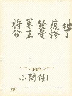将军发疯地撞着公主爱惨了公主
