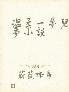 温柔一梦儿媳林梦小说