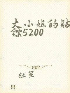 大小姐的贴身保镖5200