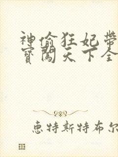 神偷狂妃带着宝宝闯天下全文免费阅读