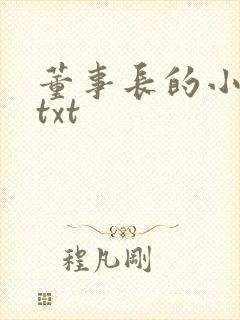 董事长的小王爷txt