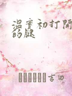 温实初打开眉庄的腿