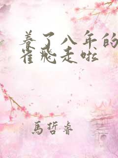 养了八年的金丝雀飞走啦