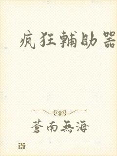 疯狂辅助器