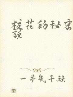 校花的秘密 小说