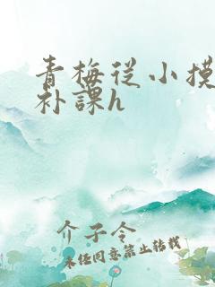 青梅从小摸到大补课h