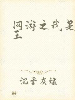 网游之我是海贼王