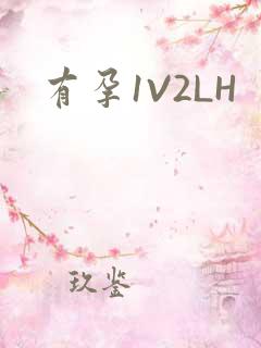 有孕1V2LH