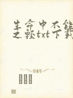 生命中不能承受之轻txt下载