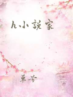 h小说家