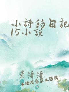 小诗的日记1一15小说