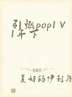 引燃pop1∨1年下
