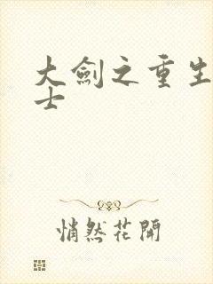 大剑之重生圣骑士