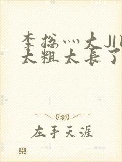 李总灬大JI巴太粗太长了