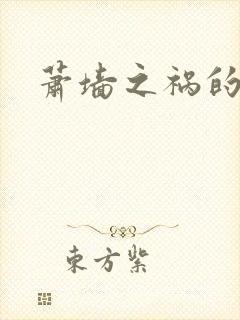 萧墙之祸的意思