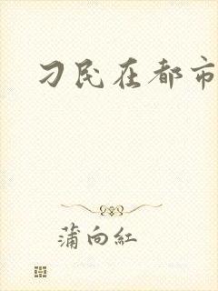 刁民在都市
