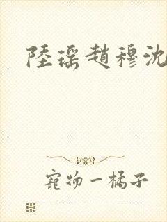 陆瑶赵穆沈依依