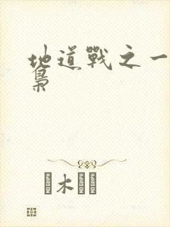 地道战之一代功枭