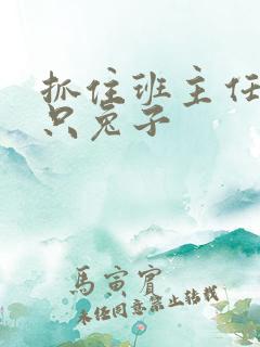 抓住班主任的俩只兔子