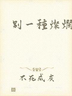 别一种灿烂生活