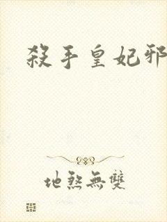 杀手皇妃邪魅帝