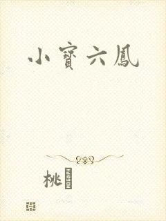 小宝六凤