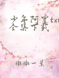 少年阿宾txt全集下载