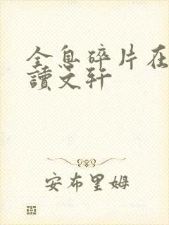 全息碎片在线阅读文轩