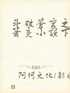 斗破苍穹之重生萧炎小说下载