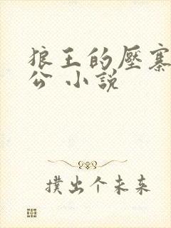 狼王的压寨小相公 小说