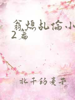 翁熄乩伦小说32篇