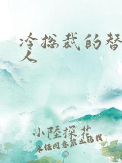 冷总裁的替身情人