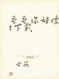 哥哥你好坏txt下载