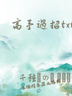 高手过招txt