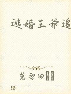 逃婚王爷追逃妃