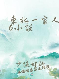 东北一家人1一6小说