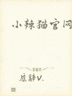 小辣猫官网