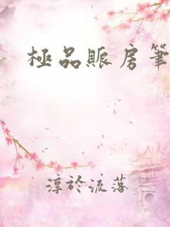 极品账房笔趣阁