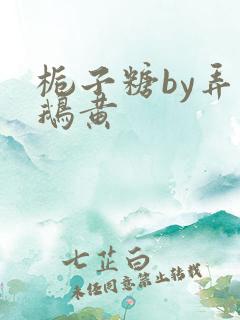 栀子糖by弄白鹅黄