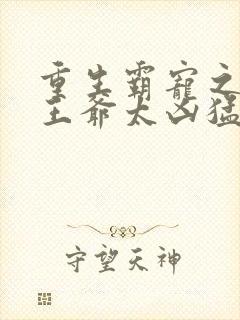 重生霸宠之摄政王爷太凶猛