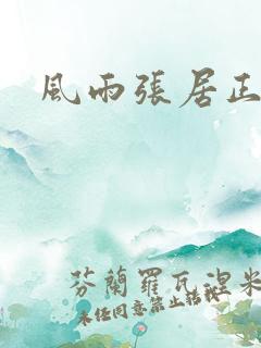 风雨张居正下载