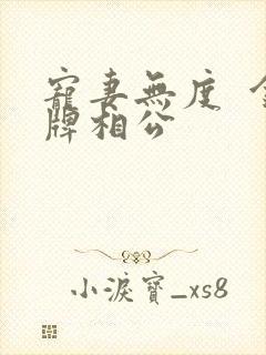 宠妻无度  金牌相公