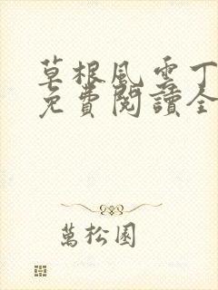 草根风云丁长生免费阅读全本