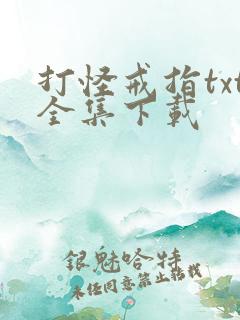 打怪戒指txt全集下载