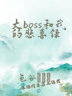 大boss和我的悲喜录
