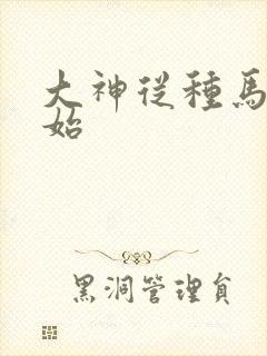 大神从种马文开始