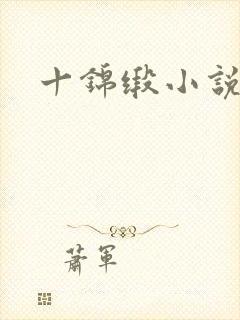 十锦缎小说