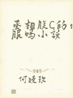 丞相朕C的你舒服吗小说