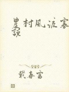 农村风流寡妇小说